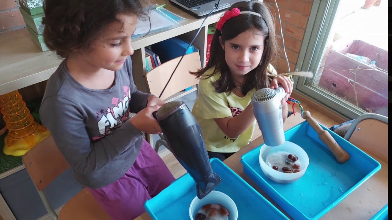 Escola Quatre Vents. Com treballem a primària?