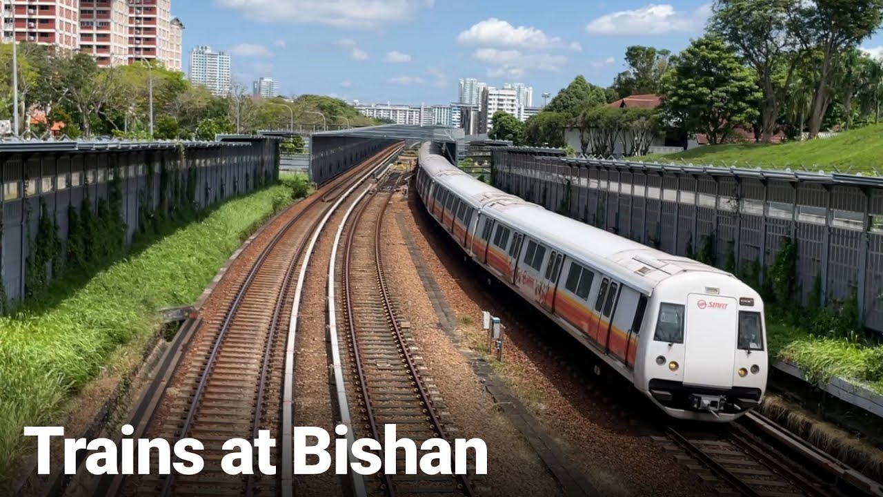 Trains at Bishan