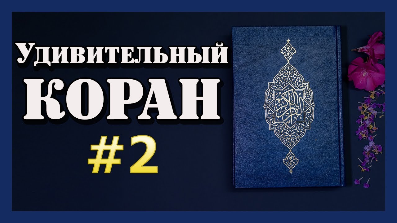 Невероятная Магия Чисел в Священной Книге | Вера Ислам |Удивительный КОРАН #2