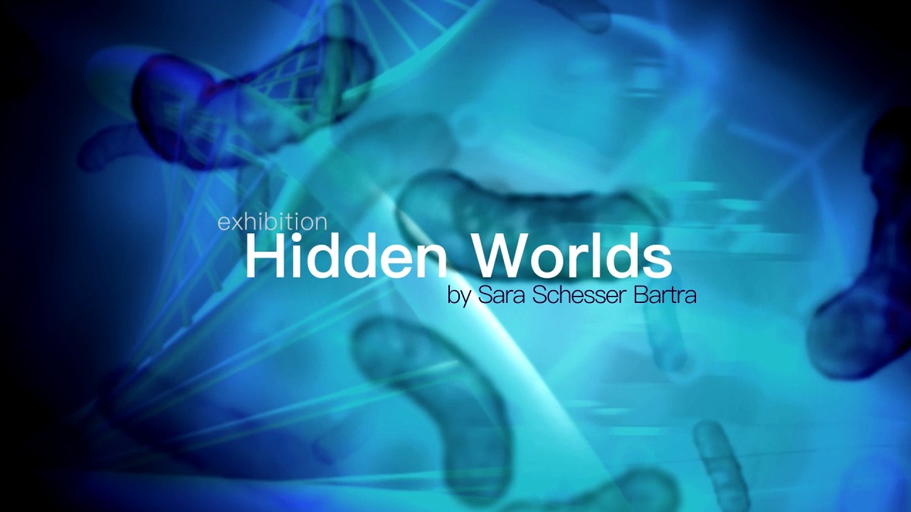 Hidden Worlds reel with presentation