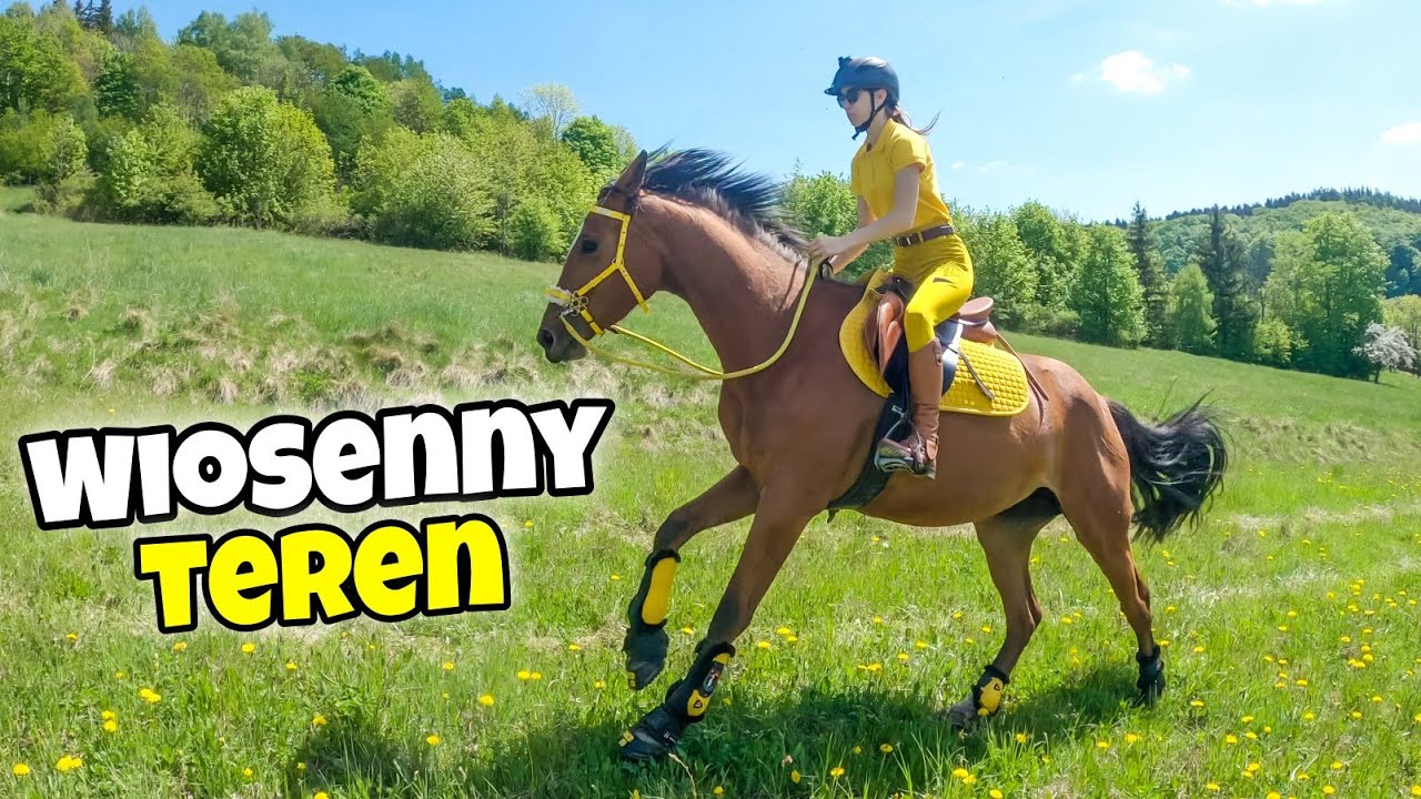 DZIKI GALOP PO ŁĄCE!