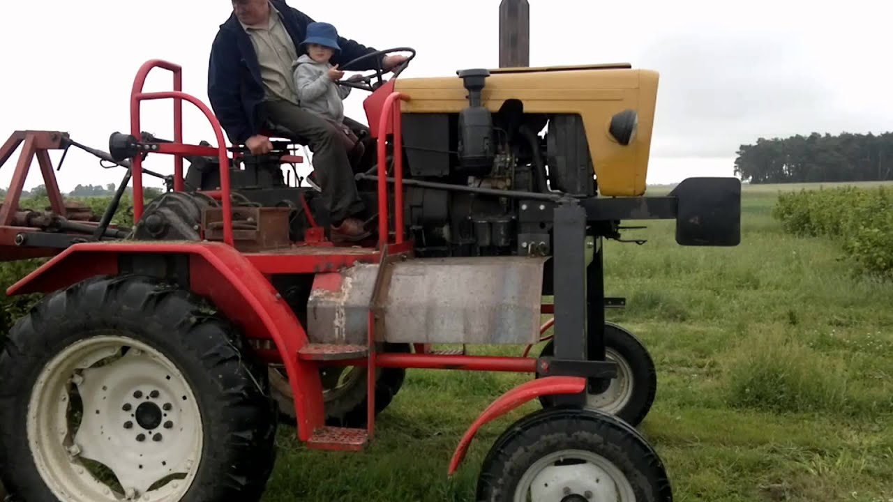 Ciągnik szczudłowy w intensywnej uprawie czarnej porzeczki