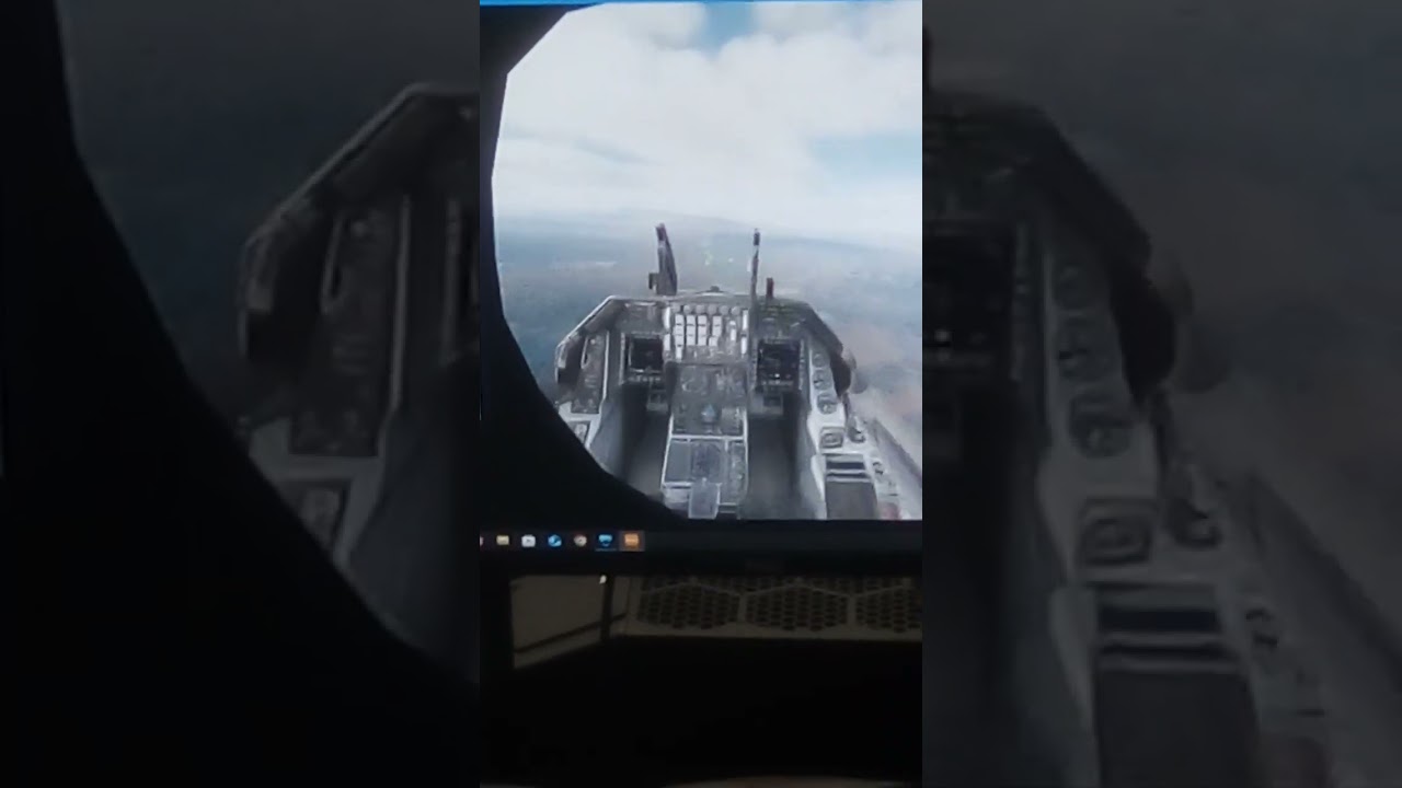 flight simulator