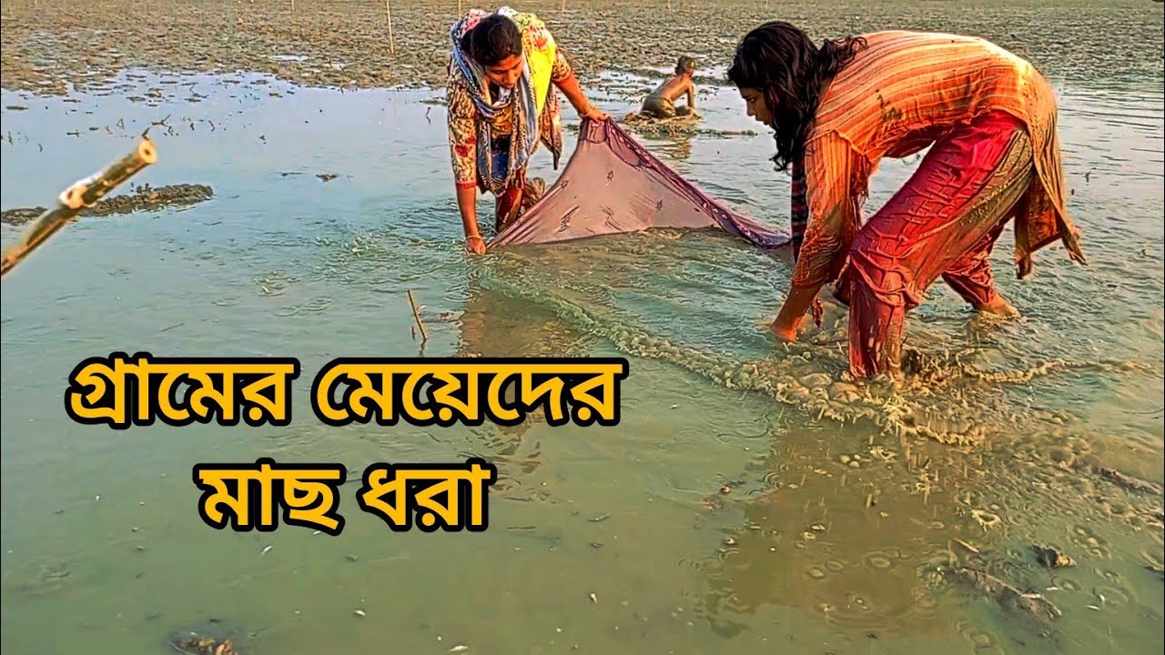 Village girls fishing.গ্রামের মেয়েদের মাছ ধরা। 