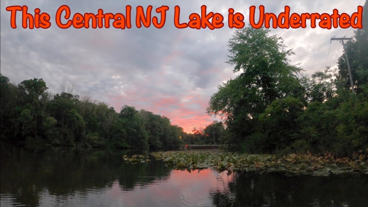 These Central New Jersey Fish are Super Aggressive