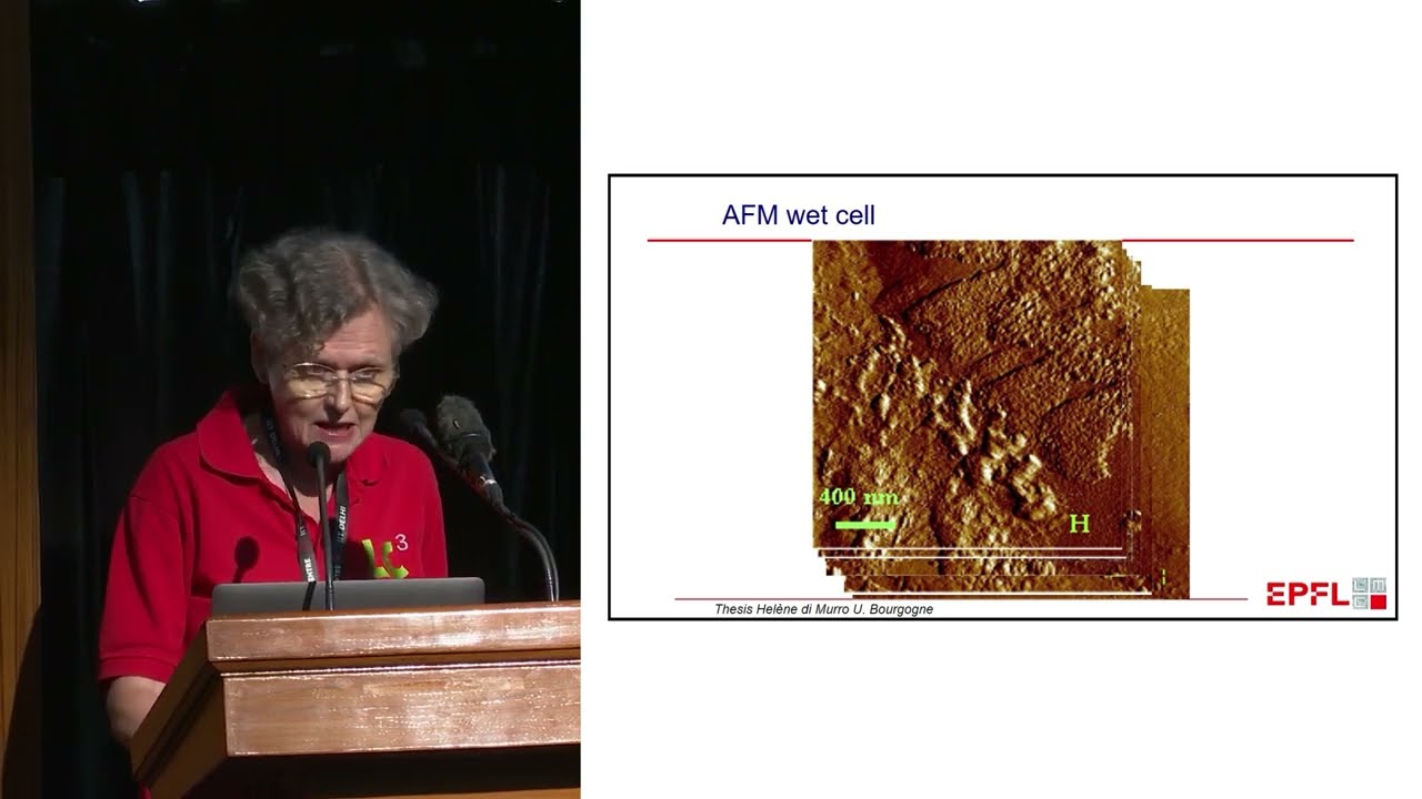 Hydration of Limestone Calcined Clay Cement - Prof. Karen Scrivener