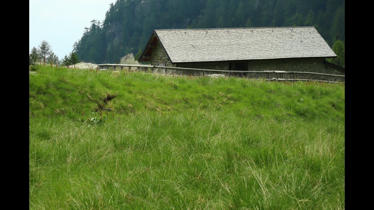 Malga rava di Sotto - rifugio Spiado #cimaRava #canoneosm50