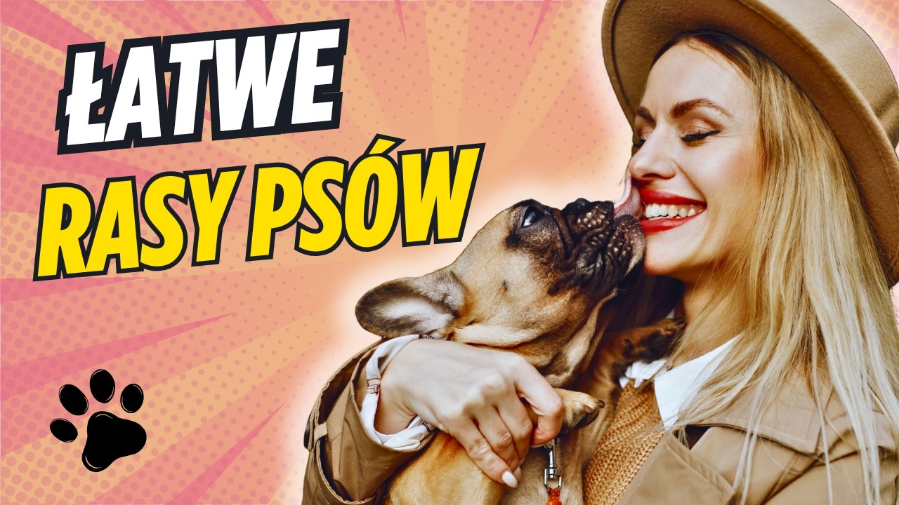 10 NAJLEPSZYCH ras psów dla POCZĄTKUJĄCYCH