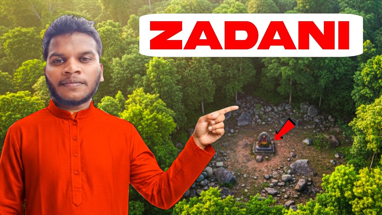 The History Of ZADANI 😱😍🌳