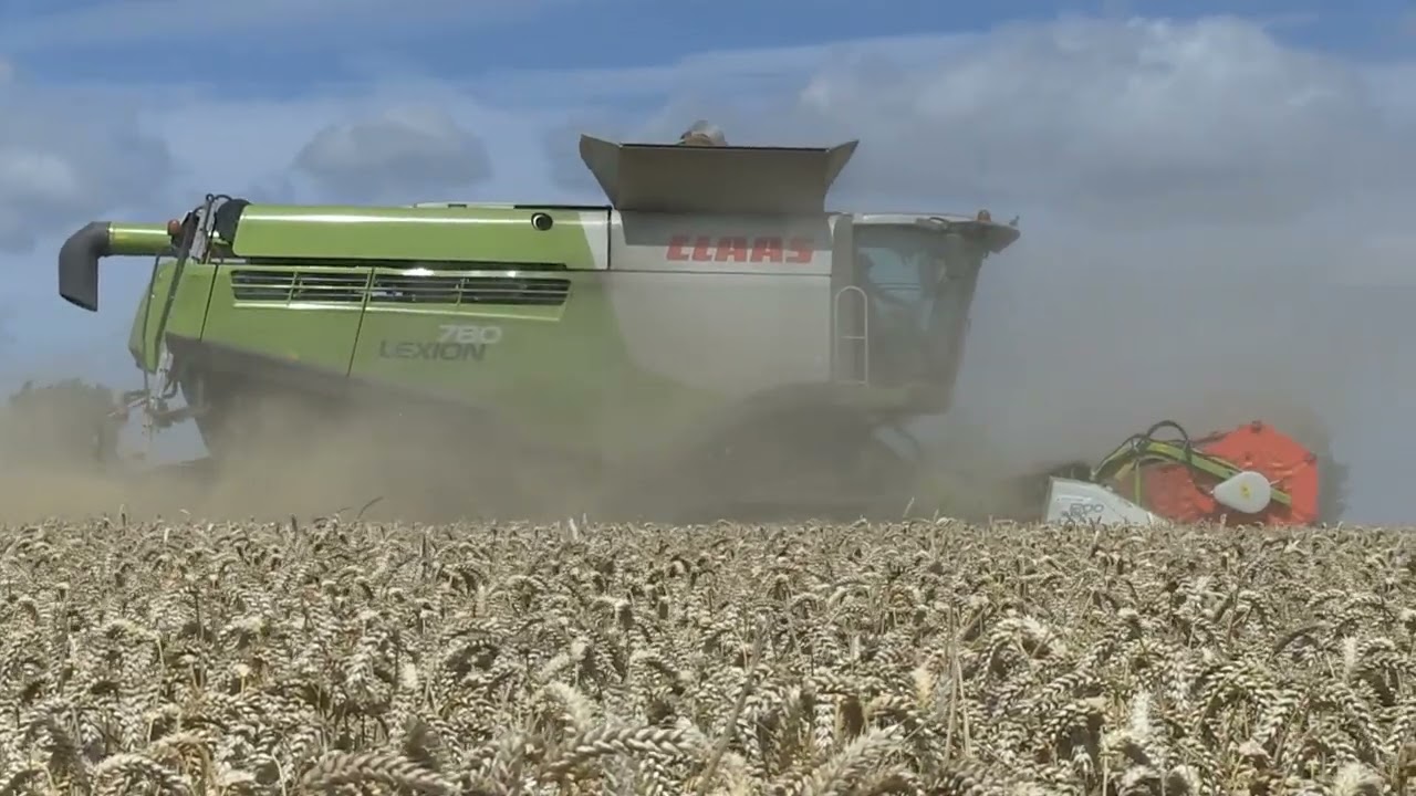 CLAAS LEXION 780 TERRA TRAC HARVESTING WHEAT