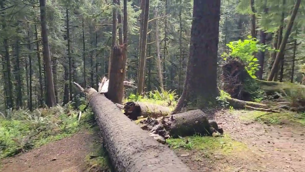Hike on the Indian Beach Trail- Cannon Beach, Oregon