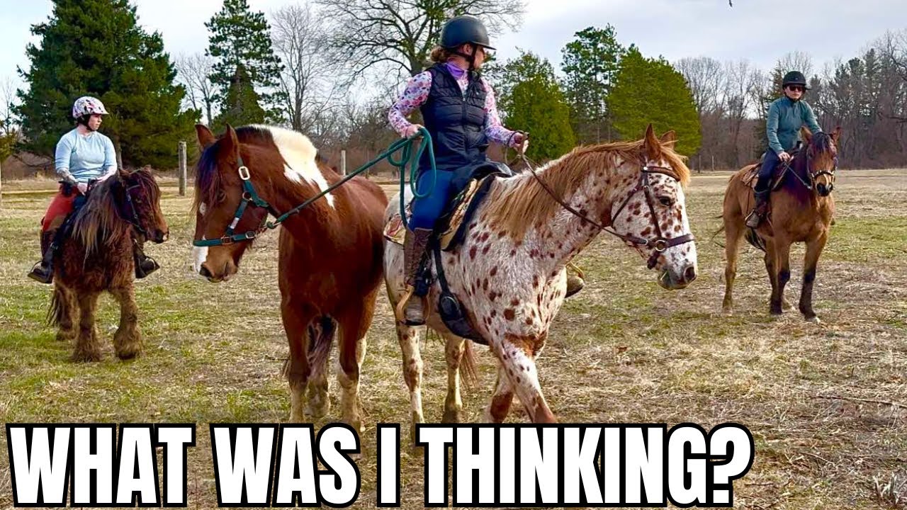 Horses Freak Out! This Trail Ride Idea Was A Bit Crazy…