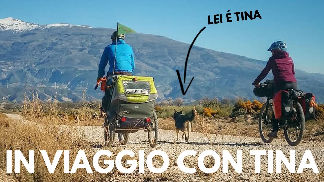 VIAGGIARE IN BICICLETTA CON IL CANE É POSSIBILE? - IN VIAGGIO CON TINA