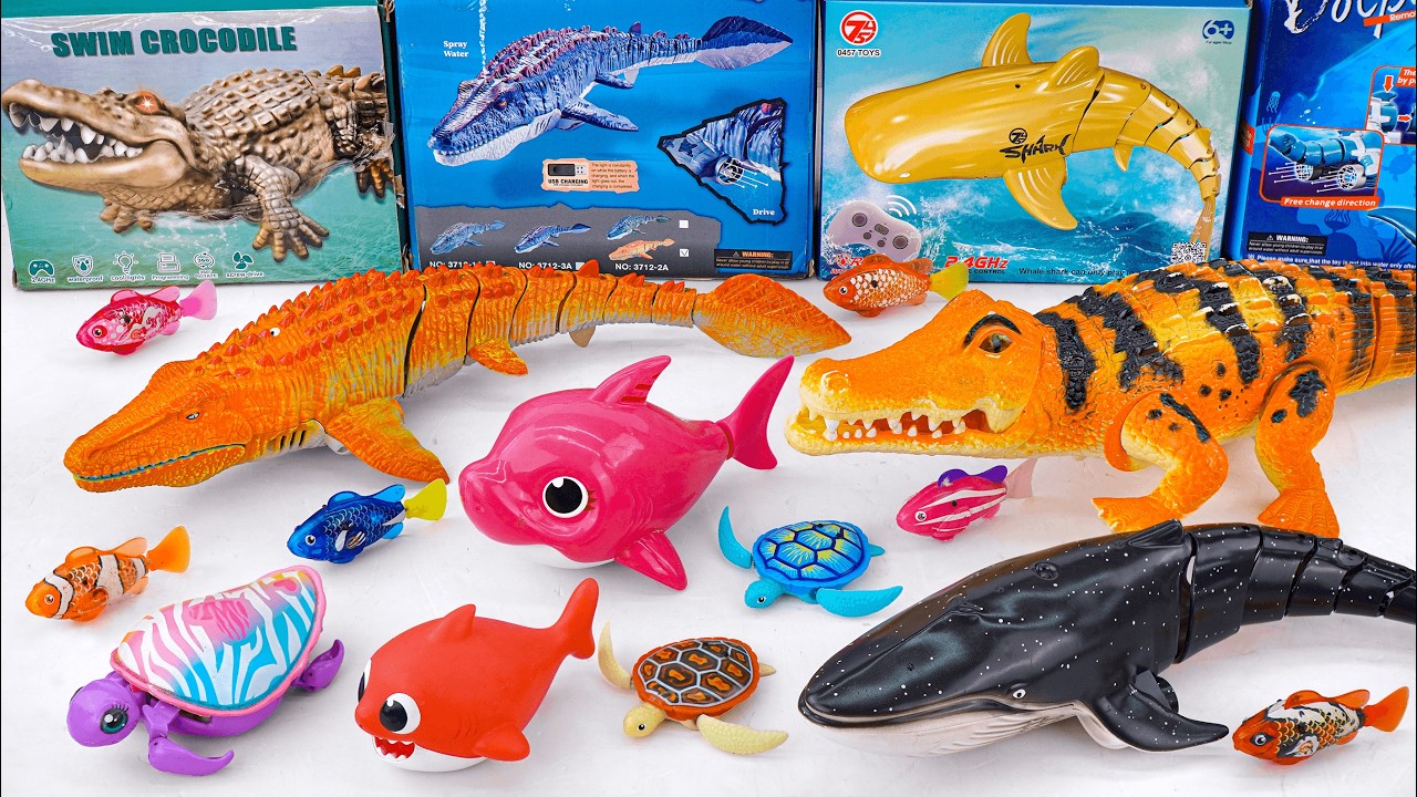 [Toy asmr] RC Whale & Crocodile & Snake &Mosasaurus &Turtle & Aquarium ASMR Satisfying with Unboxing