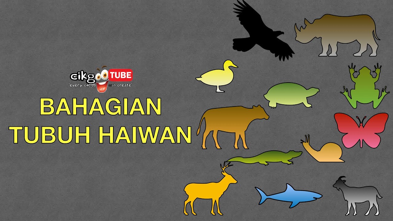 Sains Tahun 1: Bahagian Tubuh Haiwan 1 #cikgooTube #CikguZoul