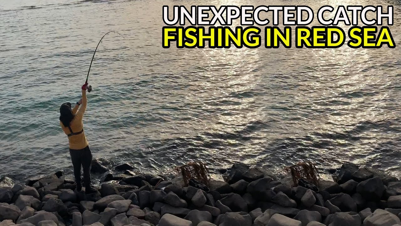 EP04 - FISHING in Red Sea Saudi Arabia : UNEXPECTED CATCH | New Corniche, Jeddah KSA