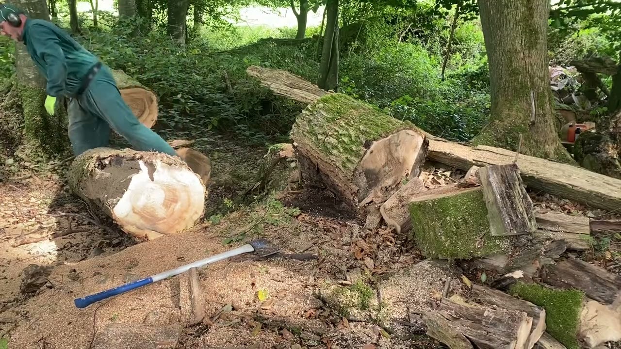 Stihl MS 362 CM(Preparing woods for the winter part three) 🖖