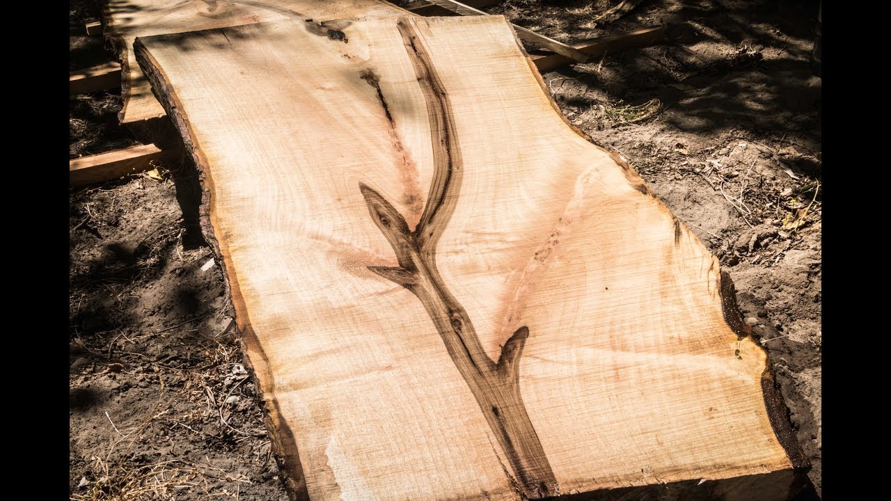 Aserradero de Madera - Milling a Walnut Slab