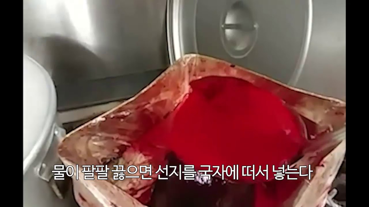 해장국 재료 선지삶는법