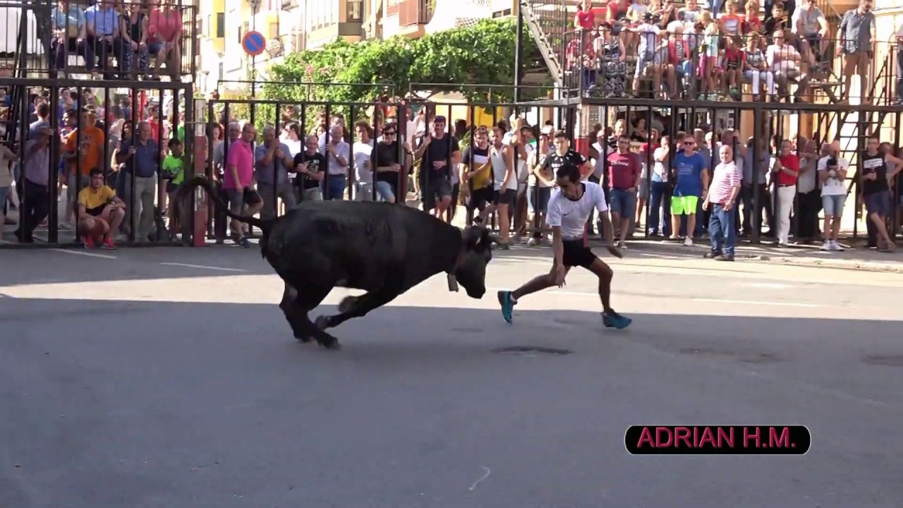 Vídeo Resumen especial Paco Pino (Onda) 2014-2019