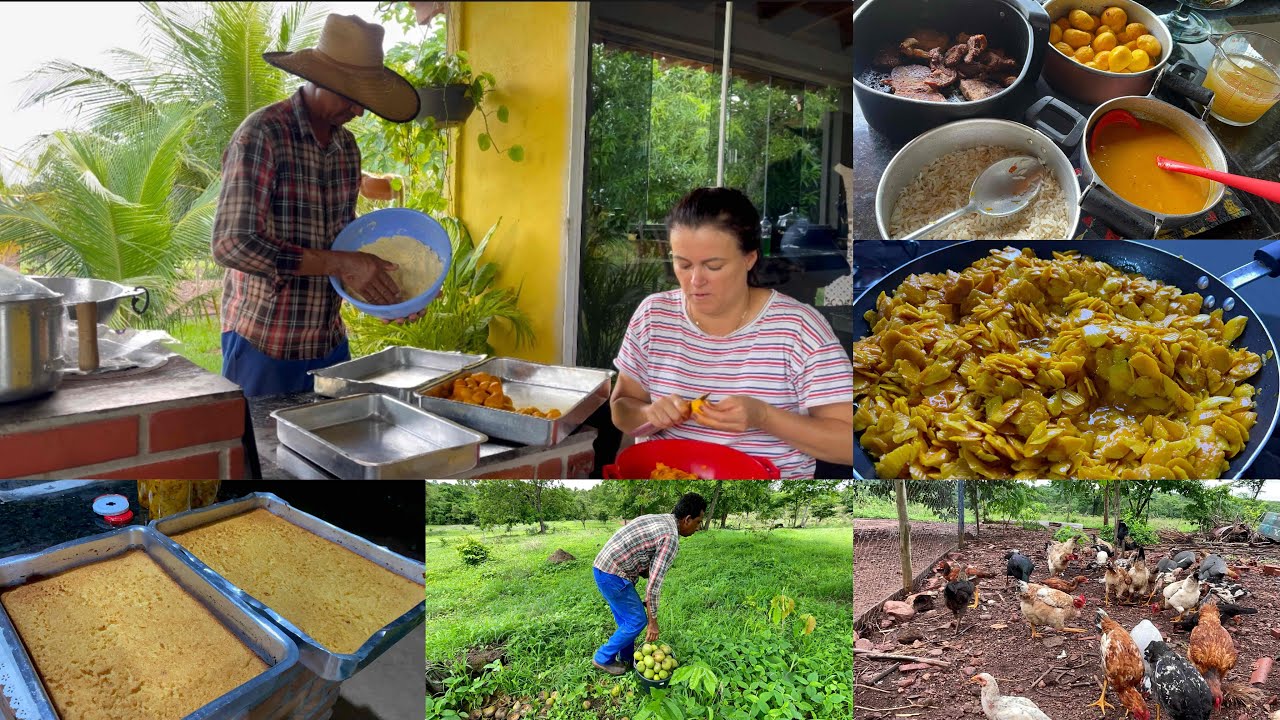 Saímos em busca do nosso ouro do cerrado, até o marido ajudou nos preparativos