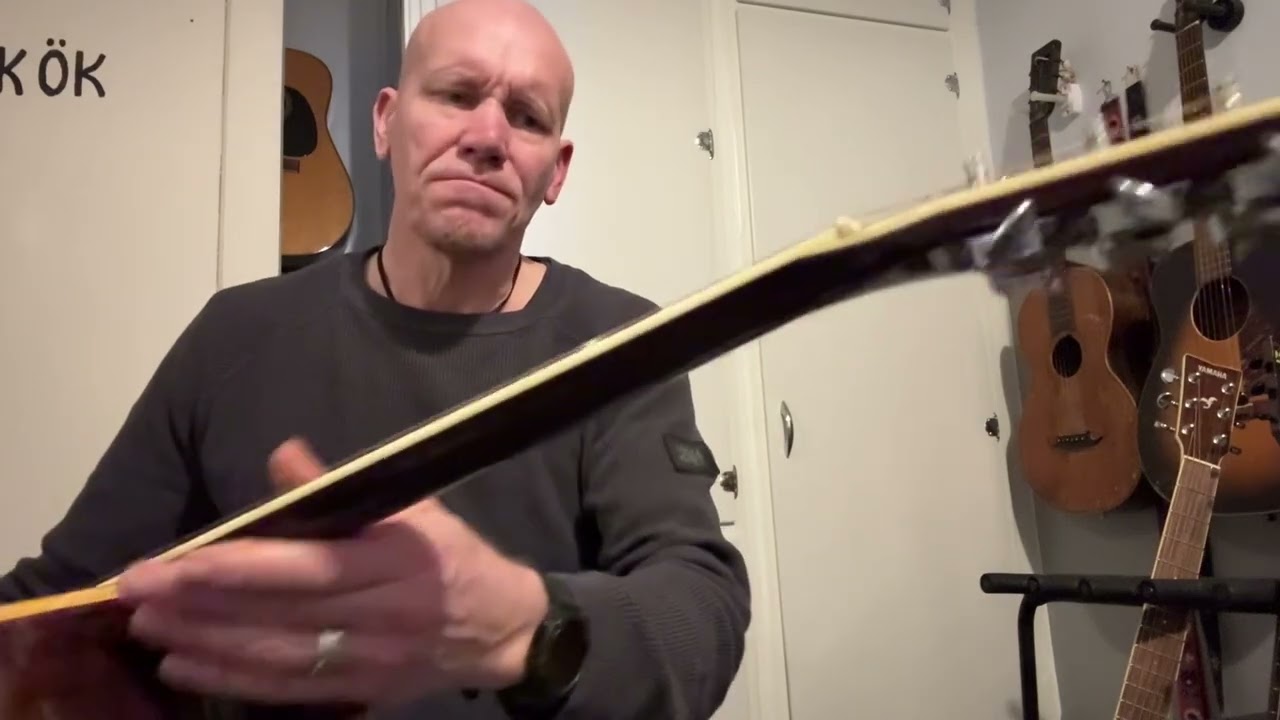 Ibanez concord