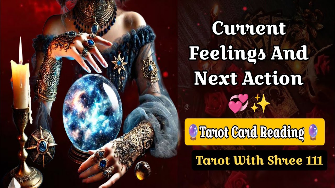 Your Partner's Current Feelings And Next Action#tarot #lovereading