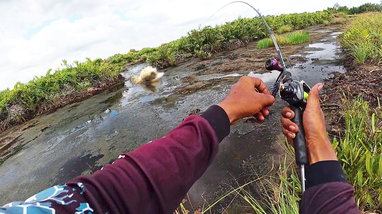 ASLI GAK NYANGKA PANEN IKAN DI SPOT SEPERTI INI !!! mancing di sarangnya ikan predator bagian 2