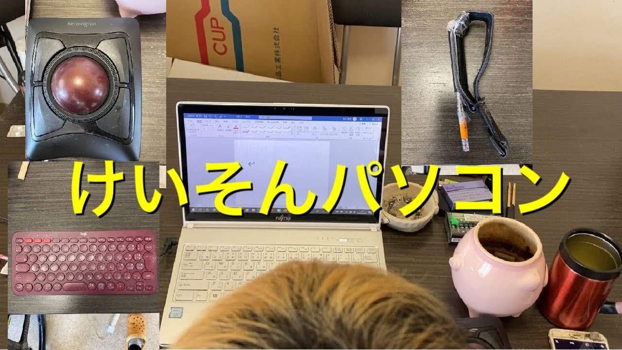 頚損の人のパソコン