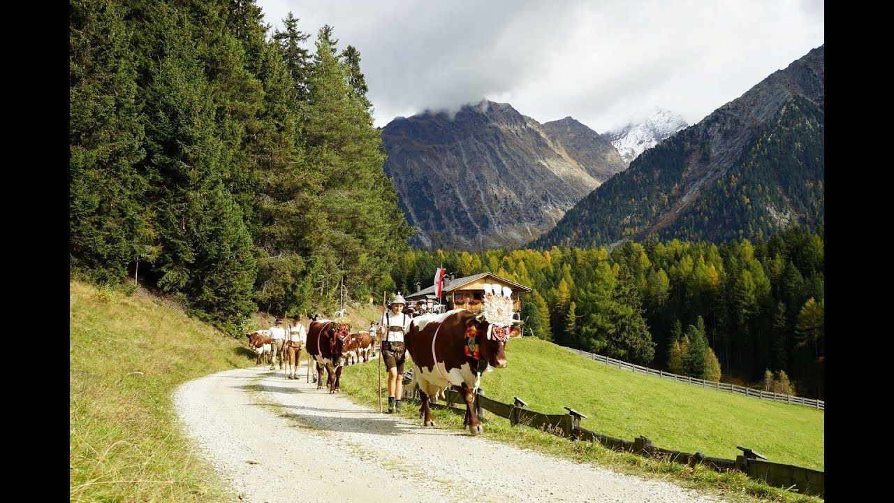 Almabtrieb Knuttenalm 2016