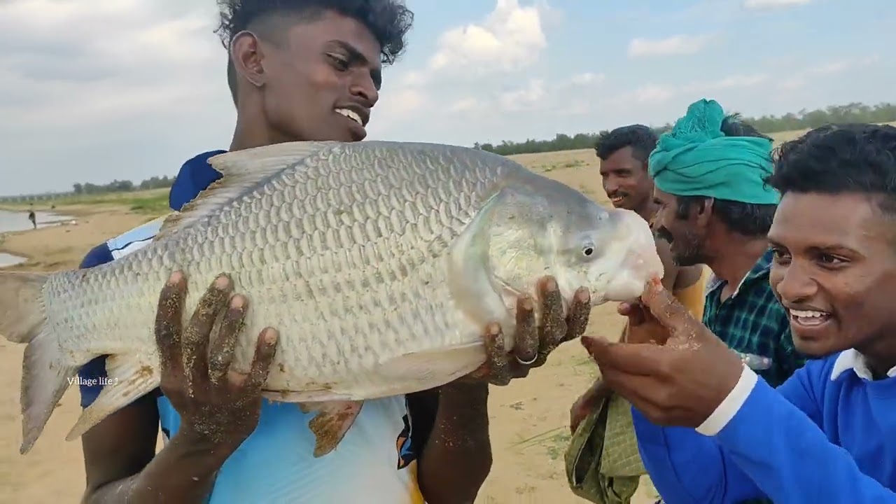 பால் செட் தூண்டிலில் 10 கிலோ எடை உள்ள கட்டலாமின் மாட்டியது | amazing fishing video | fishing video