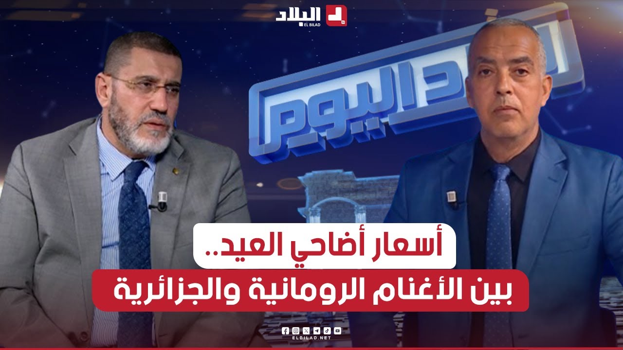 البلاد اليوم| أضاحي العيد.. الأسعار بين الأغنام الرومانية المستوردة والجزائرية
