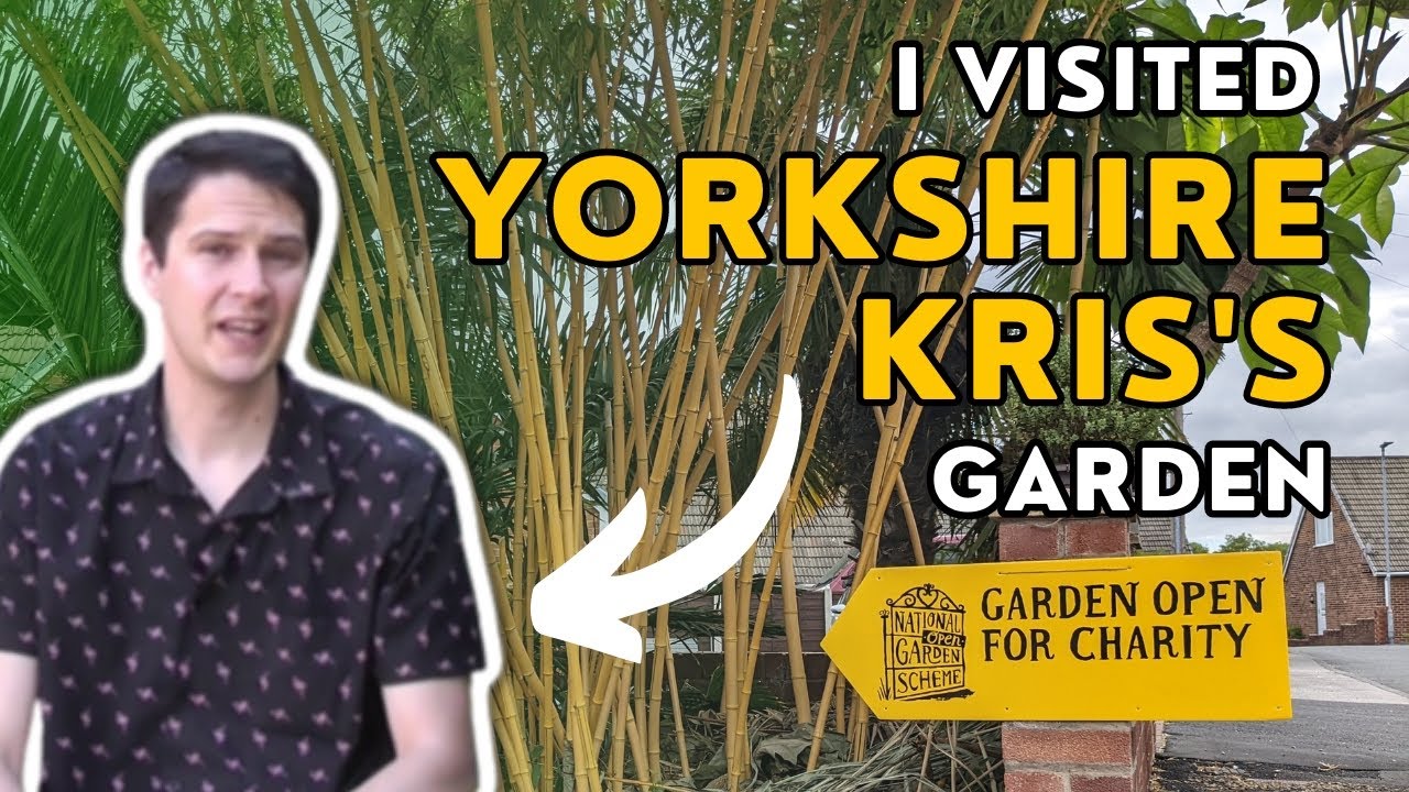I visited Yorkshire Kris's exotic garden