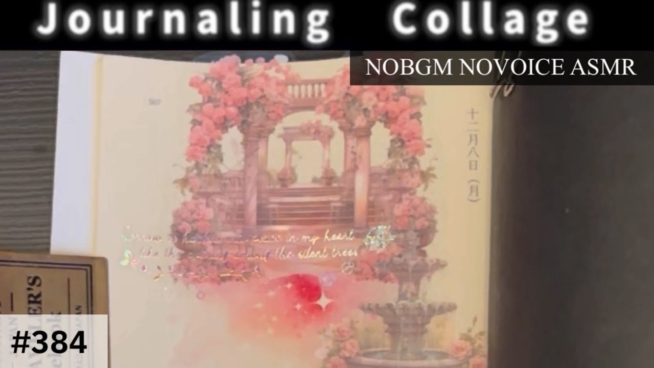 ［#428］マイブックコラージュ(NOBGMNOVOICEASMR)