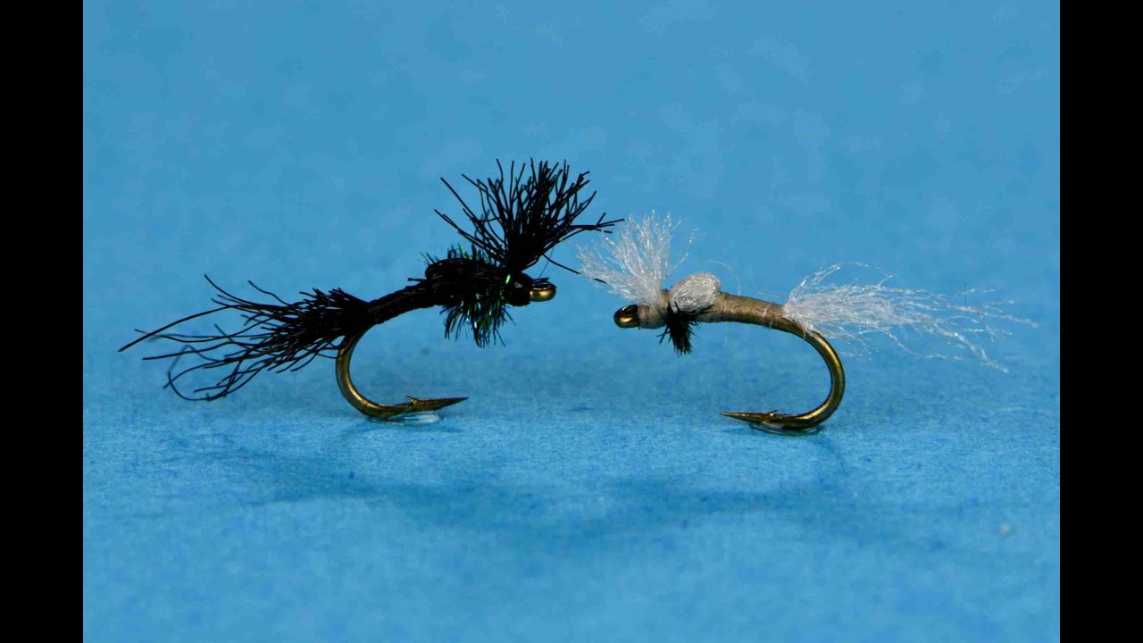 The Nothing Fly