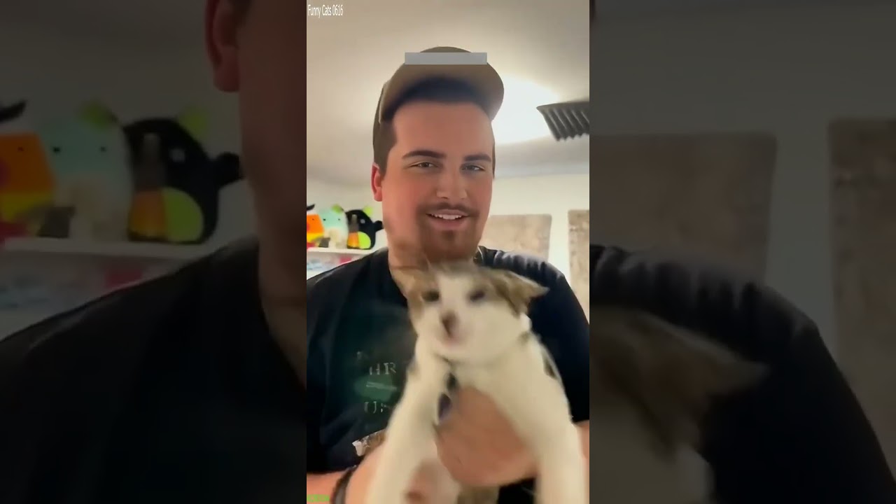 Funny Cats 2025 🥰 Cat Fails 🐈‍⬛ # Ep 7276