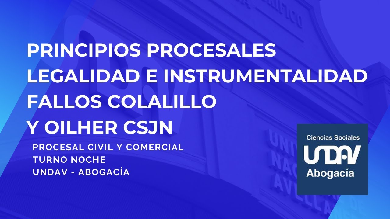 Principios procesales