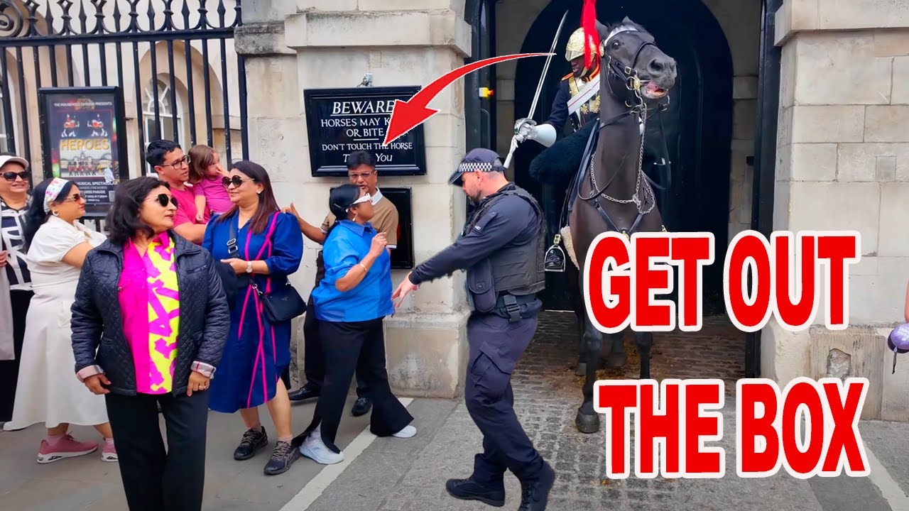 😡Chaos at Horse Guards | Guard vs. Indian Tourists – Police Called In..!