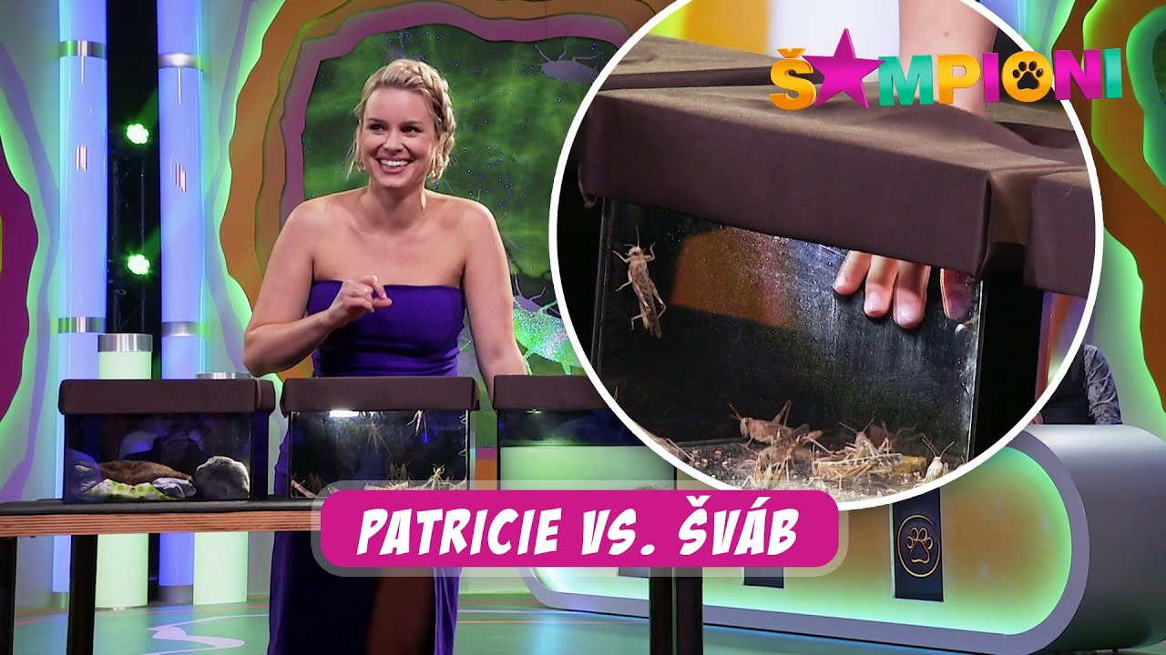 Šampioni (4) - Patricie vs. šváb