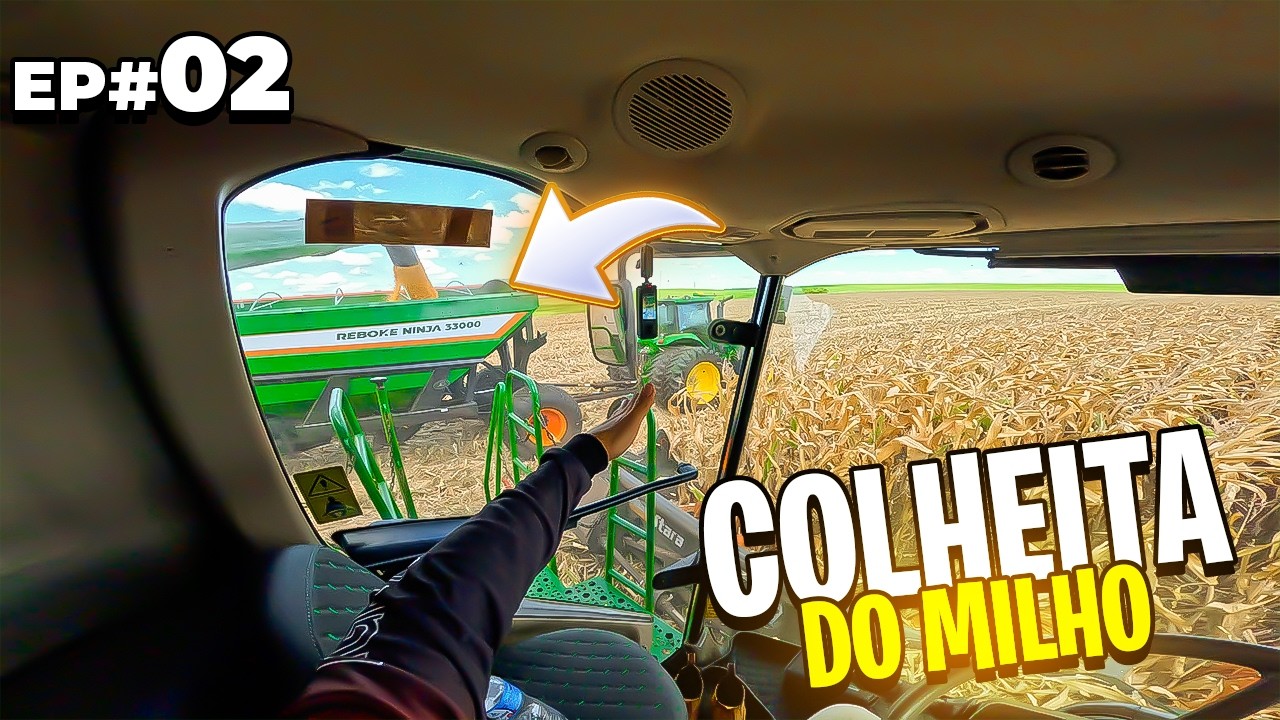 SEGUIMOS NA COLHEITA DA SAFRA DE MILHO 25/26 #EP02 😱