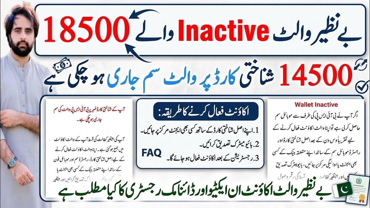 BISP Inactive Wallet Account Problem 2026 | Benazir Wallet Active Karne Ka Tarika | 8171 Portal 