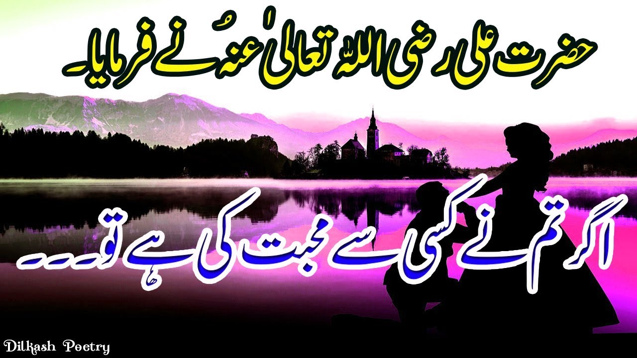 Amazing Urdu Quotation|Best Urdu Qoutes|dilkash poetry|