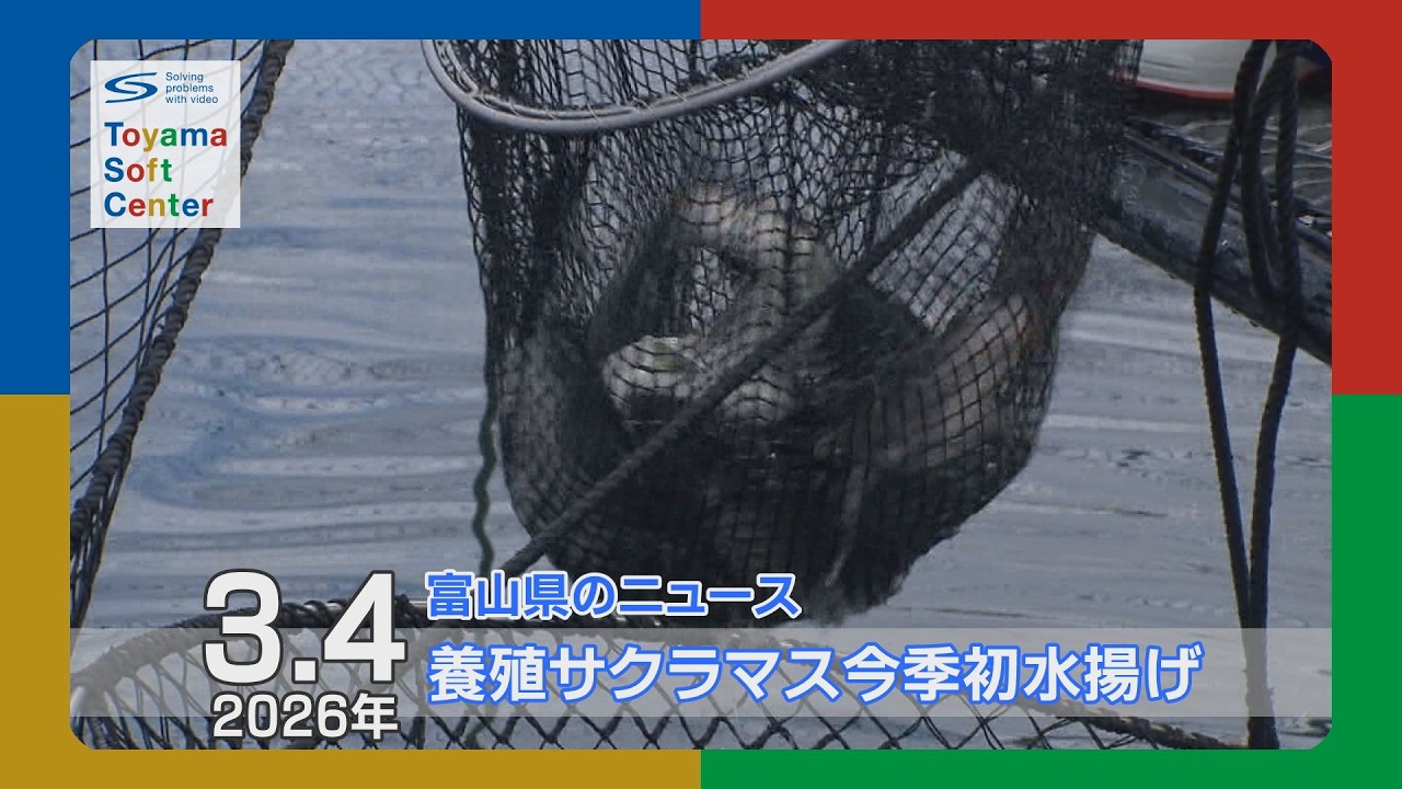 養殖サクラマス 今季初水揚げ【2026.3.4 富山県のニュース】