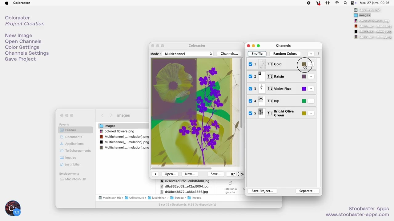 Coloraster - Project Creation