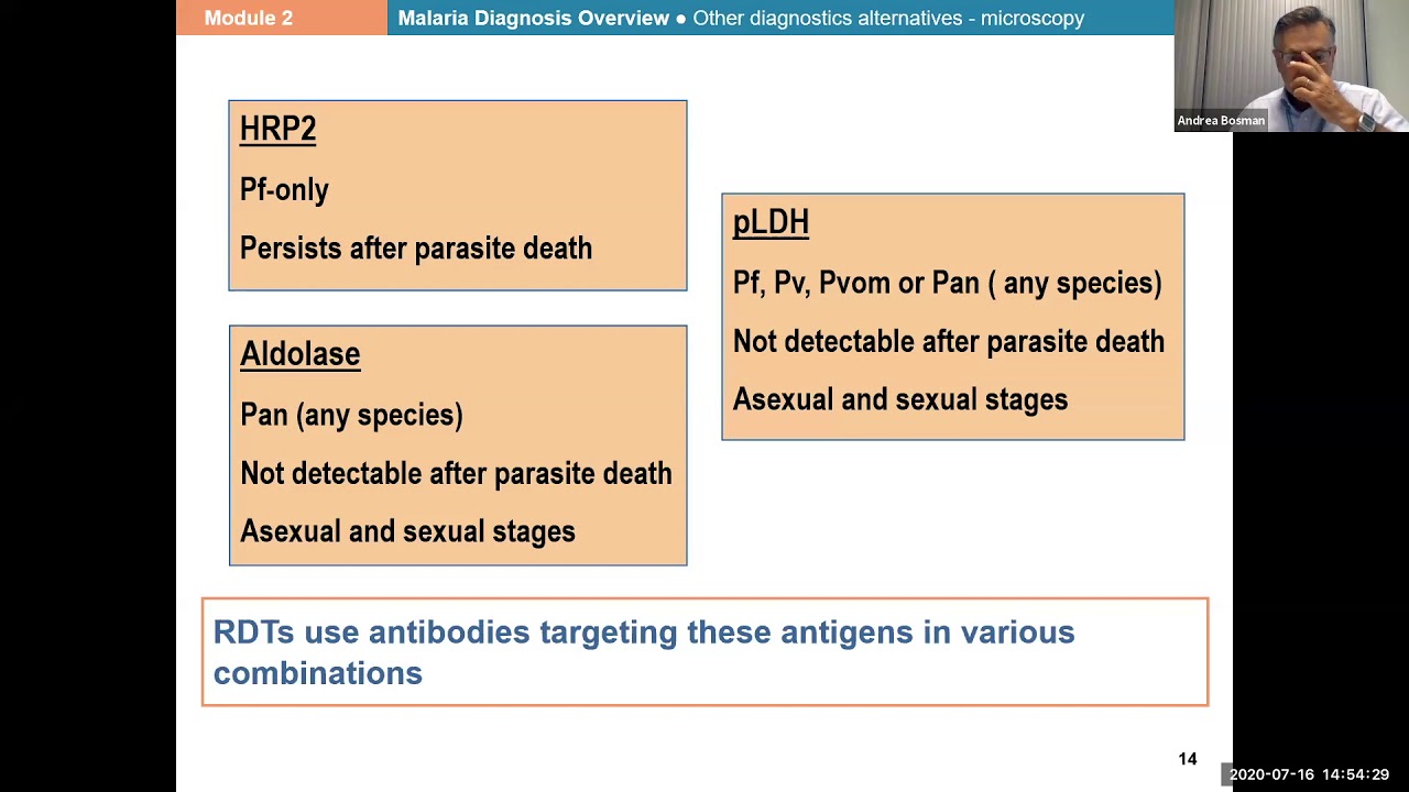 Training course on malaria case management for resource persons and focal points – session 4