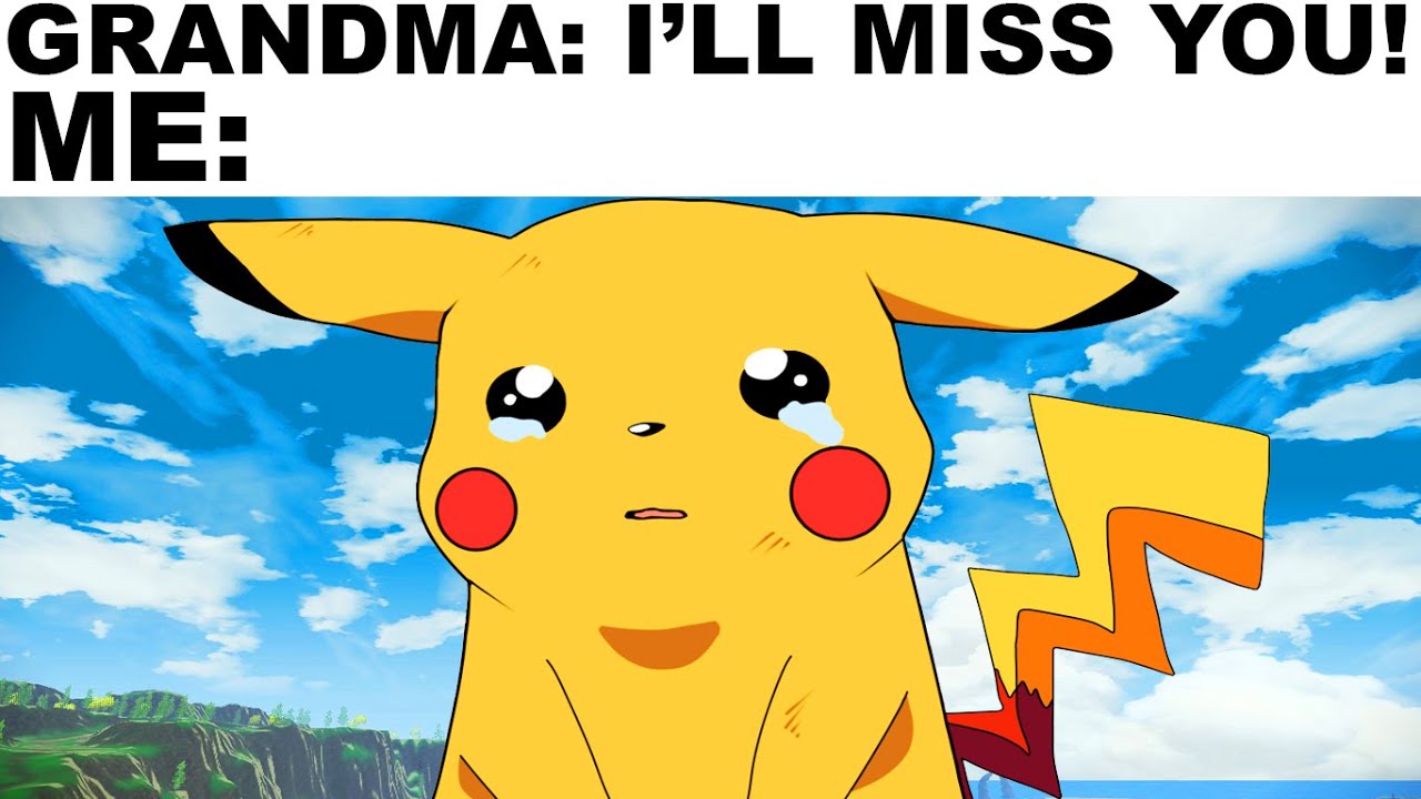 memes that left me in tears