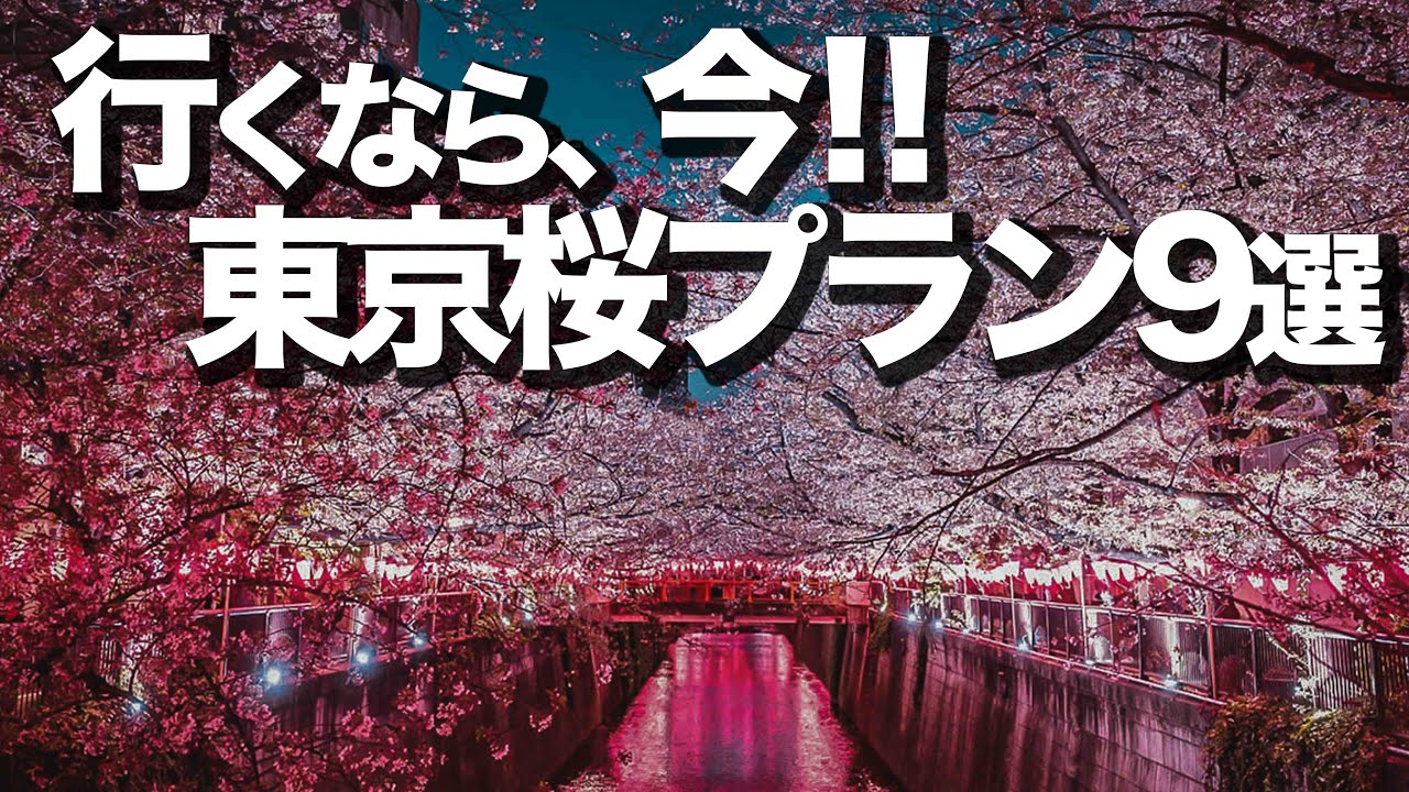 桜を楽しむカフェ&スポット９選