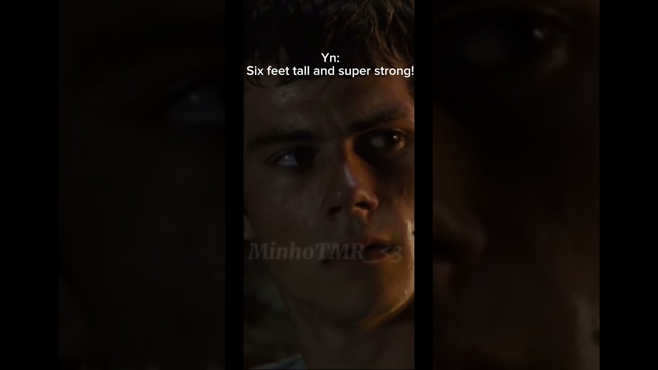 #pov Yn is talking about the perfect guy || Minho x Yn || #mazerunner #pov #yn #minho #newt #thomas