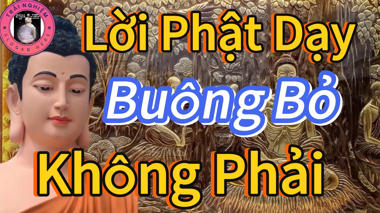 Buông Bỏ Không Phải Thua Cuộc Mà Là Chọn Bình Yên 