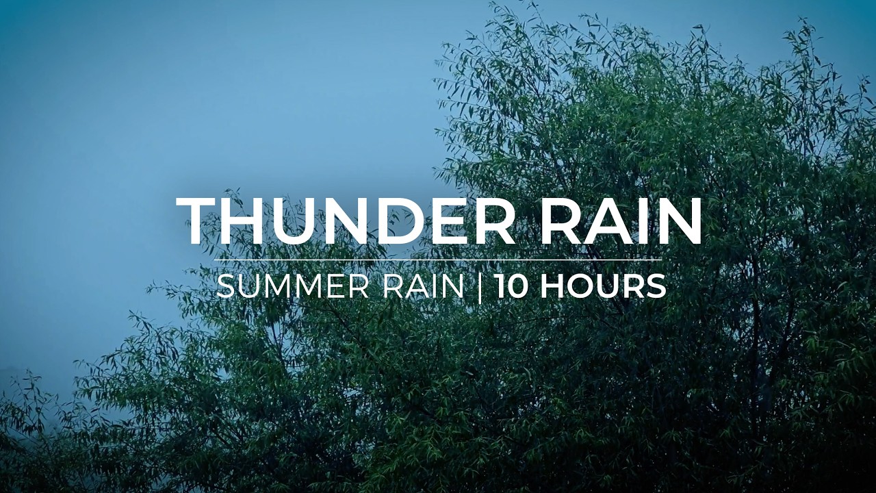 Wind, Rain & Low Thunder | 10 Hours | Meditation | Sleep | Insomnia | Study | Focus | Calming Down